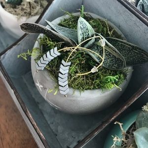 ⭕️Clearance⭕️ Arrow earrings